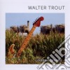 Walter Trout - Common Ground cd