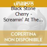 Black Stone Cherry - Screamin' At The Sky cd musicale