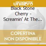 Black Stone Cherry - Screamin' At The Sky cd