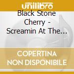 Black Stone Cherry - Screamin At The Sky cd