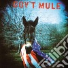 Gov't Mule - Gov't Mule (2 Lp) cd