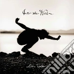 (LP Vinile) Eddie Vedder - Into The Wild vinile