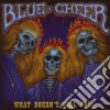 Blue Cheer - What Doesn't Kill You (2 Lp) cd