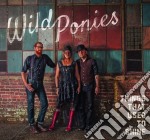 Wild Ponies - Things That Used To Shine