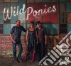 Wild Ponies - Things That Used To Shine cd