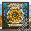 (LP Vinile) This Wild Life - Petaluma cd