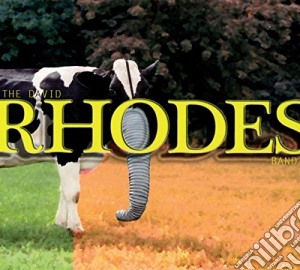 David Rhodes Band - The David Rhodes Band cd musicale di T David rhodes band