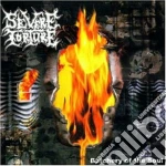 Torture Severe - Butchery Of The Soul cd