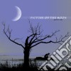 Picture Of The Moon - Ageless Day cd