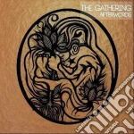 (LP VINILE) Afterwords cd