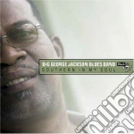 Big George Jackson Blues Band - Southern In My Soul cd