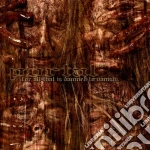 Portal - For All That Is Damned To Vanish cd