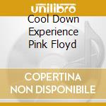 Cool Down Experience Pink Floyd cd musicale di Terminal Video
