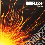 Godflesh - Hymns (2 Lp) cd