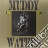 (LP Vinile) Muddy Waters - King Bee cd
