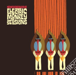 (LP Vinile) New Cool Collective - Electric Monkey Sessions lp vinile di New Cool Collective