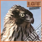 (LP Vinile) Blackfoot - Marauder vinile