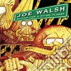 Joe Walsh - Songs For A Dying Planet cd