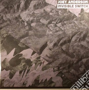 Joey Anderson - Invisible Switch (2 Lp) cd musicale di Joey Anderson