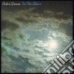 (LP Vinile) Peter Green - In The Skies