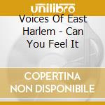 Voices Of East Harlem - Can You Feel It cd
