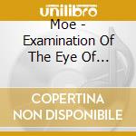 Moe - Examination Of The Eye Of A Horse