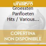 Groessten Panfloeten Hits / Various (2 Cd) cd