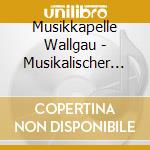 Musikkapelle Wallgau - Musikalischer Fruehschopp cd