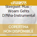 Steegwirt Musi - Woam Gehts D?Nha-Instrumental cd
