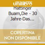 Hattinger Buam,Die - 30 Jahre-Das Beste/Inkl.6 Neuer Titel (2 Cd) cd