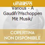 Various - A Gaudifr?Hschoppen Mit Musik/ cd