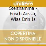 Stelzhamma - Frisch Aussa, Wias Drin Is cd