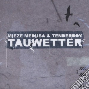 Mieze Medusa & Tenderboy - Tauwetter cd musicale di Mieze Medusa & Tenderboy