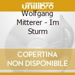 Wolfgang Mitterer - Im Sturm cd