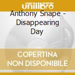 Anthony Snape - Disappearing Day