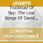 Truckload Of Sky: The Lost Songs Of David McComb Vol.1 / Various cd