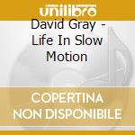 David Gray - Life In Slow Motion cd