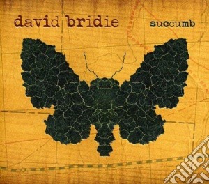 David Bridie - Succumb cd musicale di David Bridie