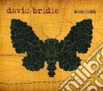 David Bridie - Succumb cd