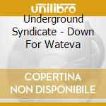 Underground Syndicate - Down For Wateva cd musicale di Underground Syndicate