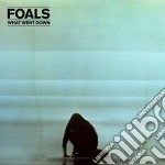 Foals - What Went Down (Cd+Dvd)