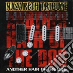 Tribute To Nazareth - Another Hair Of The Dog