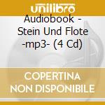 Audiobook - Stein Und Flote -mp3- (4 Cd) cd