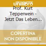 Prof. Kurt Tepperwein - Jetzt Das Leben Verardern! cd