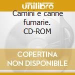 Camini e canne fumarie. CD-ROM cd musicale di Mottura Giovanna - Pennisi Alessandra