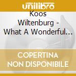 Koos Wiltenburg - What A Wonderful Day For The Blues cd