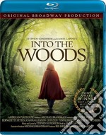 (Blu-Ray Disk) Into The Woods: Stephen Sondheim [Edizione: Stati Uniti] brd