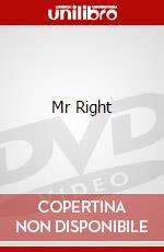 Mr Right dvd