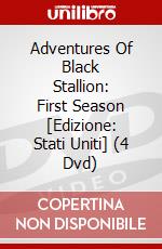 Adventures Of Black Stallion: First Season [Edizione: Stati Uniti] (4 Dvd) dvd