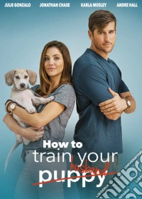 How To Train Your Husband [Edizione: Stati Uniti] dvd